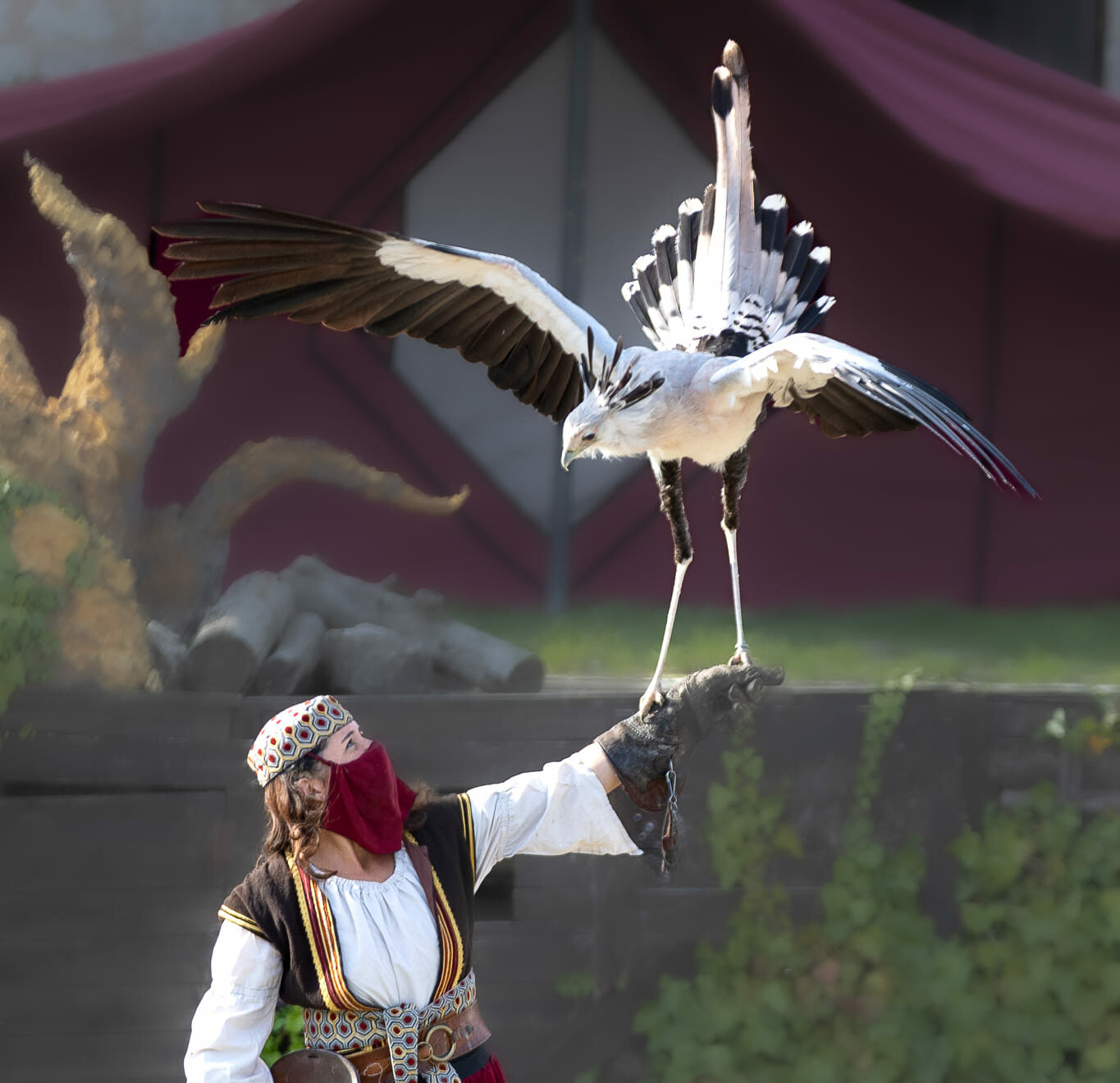 Les Médiévales de Provins