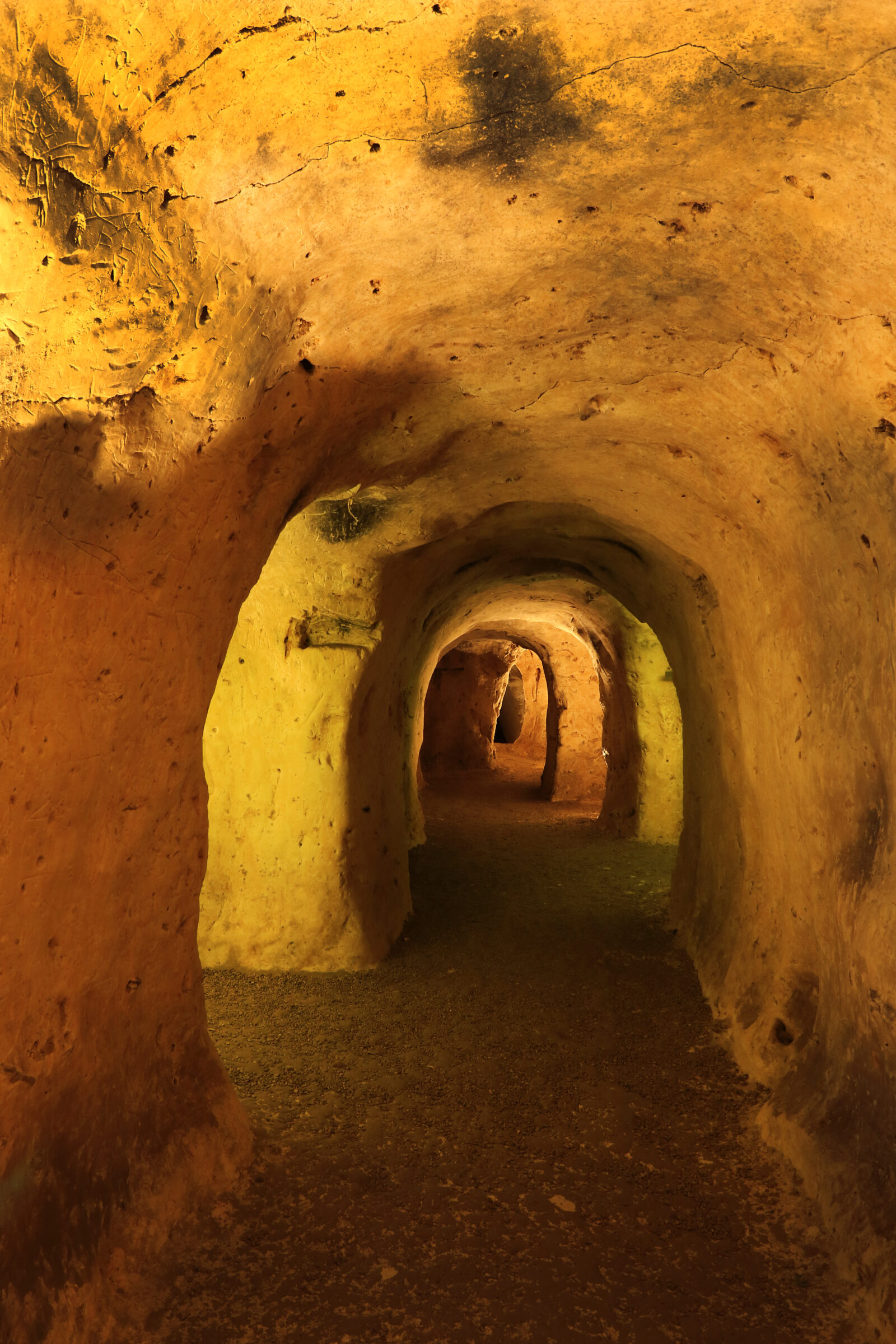 Les Médiévales de Provins