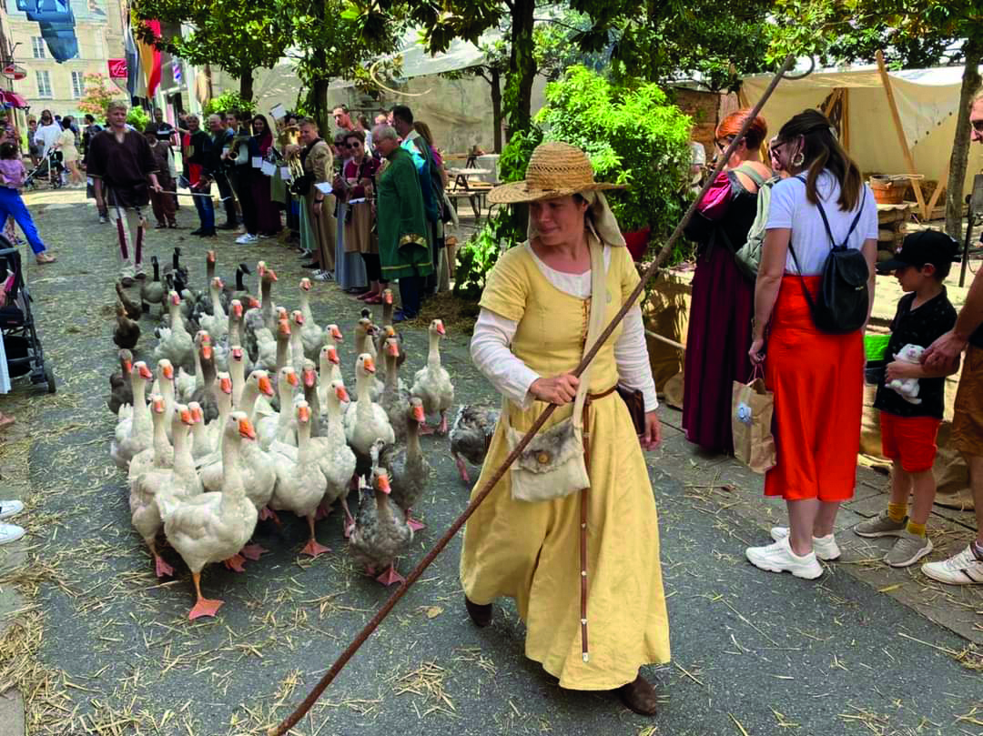 Les Médiévales de Provins